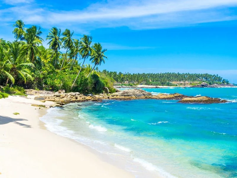 South Coast Beach Escape