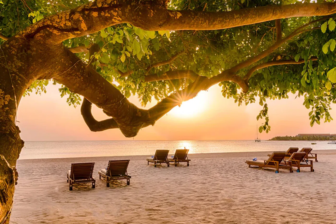 Calm tropical beach sunrise