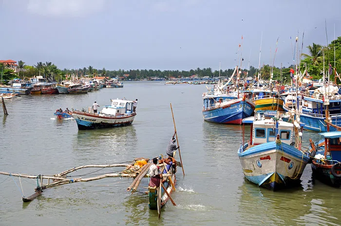 Negombo lagoon and coast at sunset