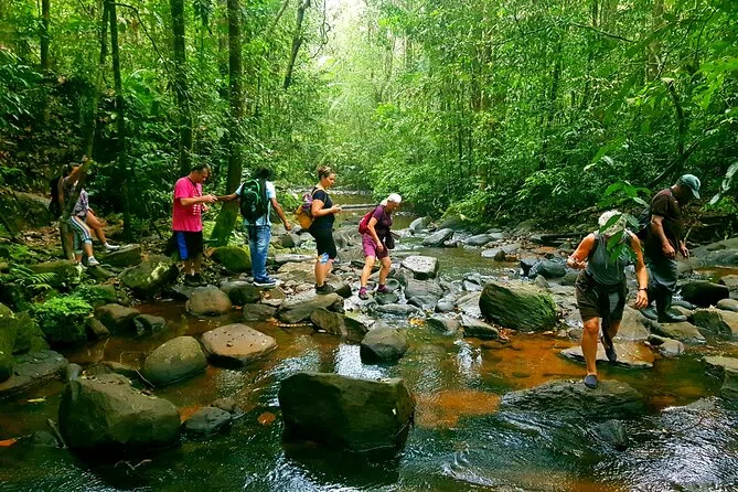 Rainforest entrance and wet-zone hills around Sinharaja