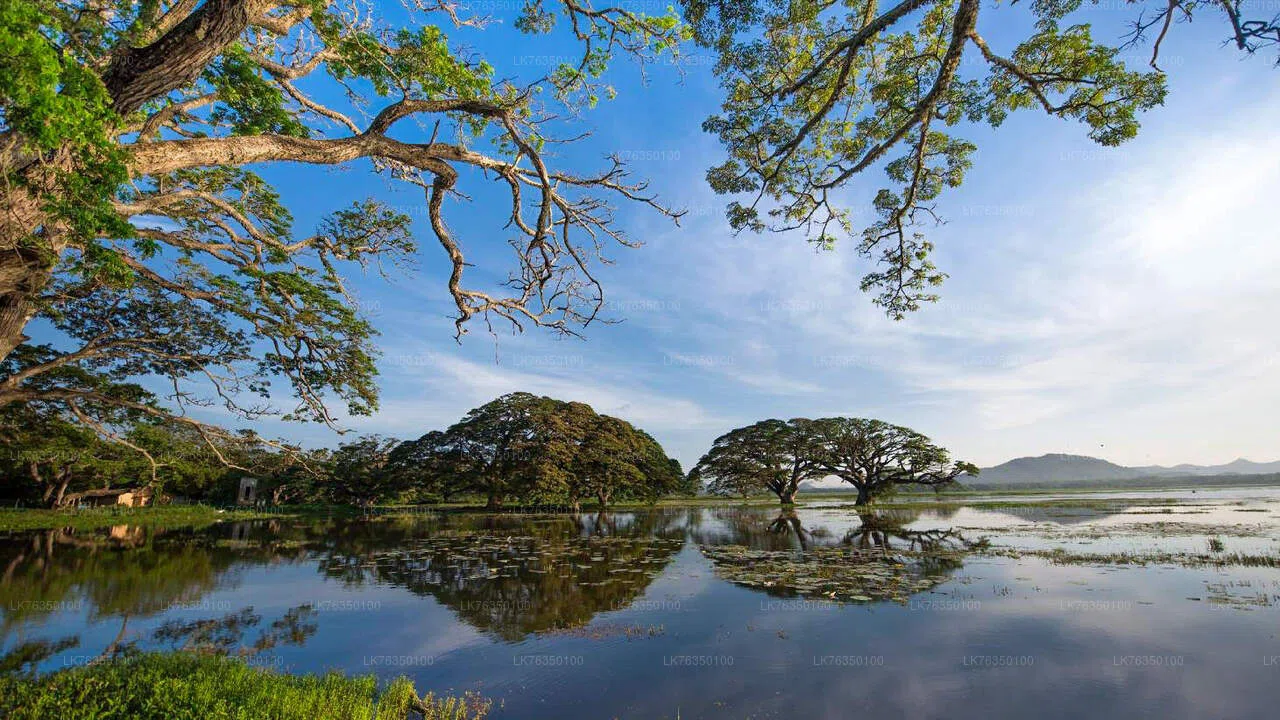 Tissamaharama lake and Yala-region wildlife landscape