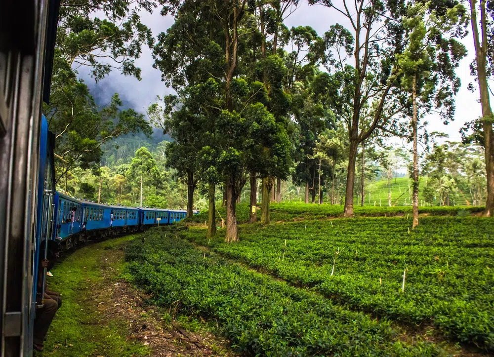 Sri Lanka hill-country train passing through tea estates